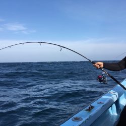 松鶴丸 釣果