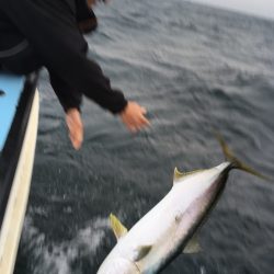 松鶴丸 釣果