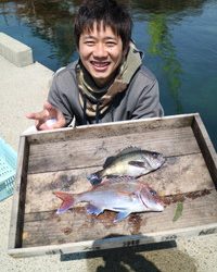 魚英 釣果