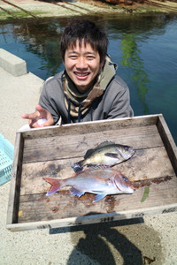 魚英 釣果