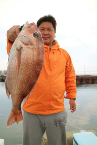 魚英 釣果