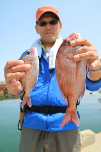 魚英 釣果