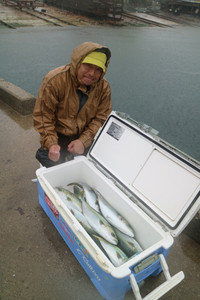 魚英 釣果