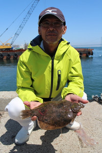 魚英 釣果