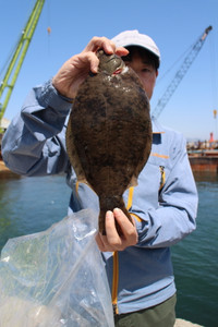 魚英 釣果