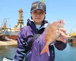 魚英 釣果