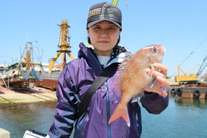 魚英 釣果