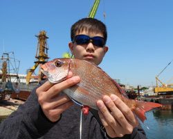 魚英 釣果