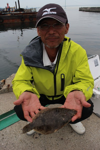 魚英 釣果