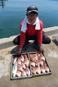 魚英 釣果