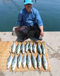 魚英 釣果