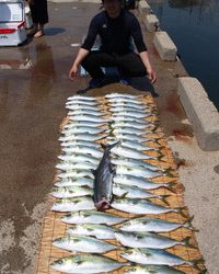 魚英 釣果