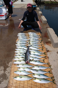 魚英 釣果