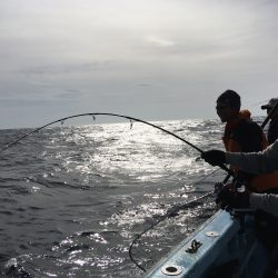 松鶴丸 釣果