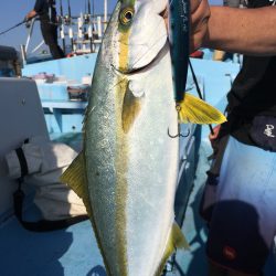 松鶴丸 釣果