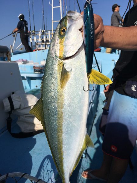 松鶴丸 釣果