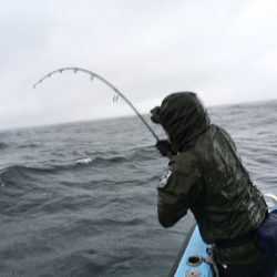 松鶴丸 釣果