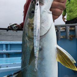 松鶴丸 釣果