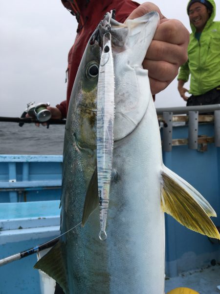 松鶴丸 釣果