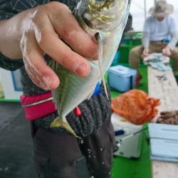 小島丸 釣果