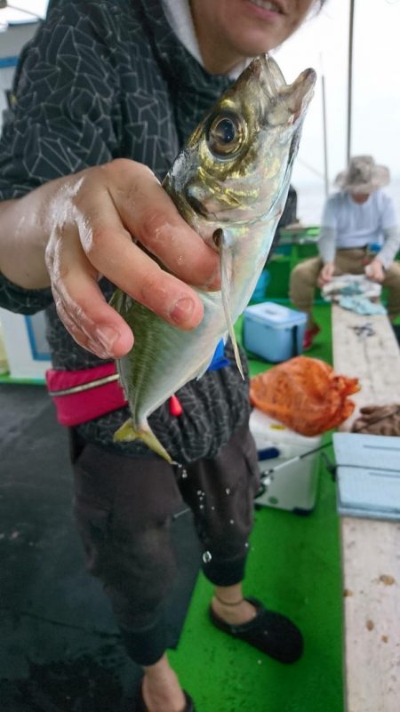 小島丸 釣果