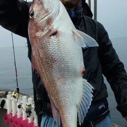 鷹王丸 釣果