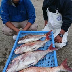 第三共栄丸 釣果