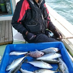 小島丸 釣果