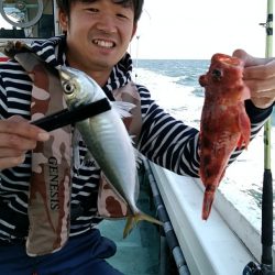 小島丸 釣果