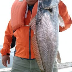 小島丸 釣果