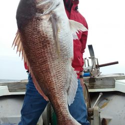 鷹王丸 釣果