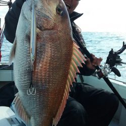 鷹王丸 釣果