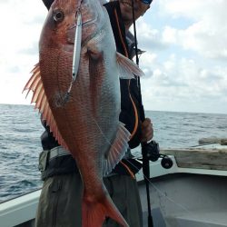 鷹王丸 釣果