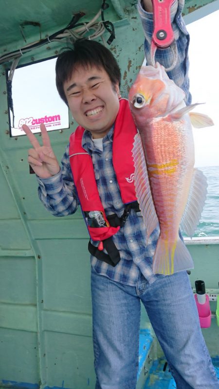 だて丸 釣果