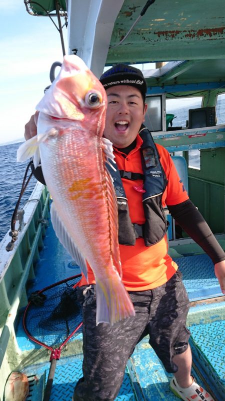 だて丸 釣果