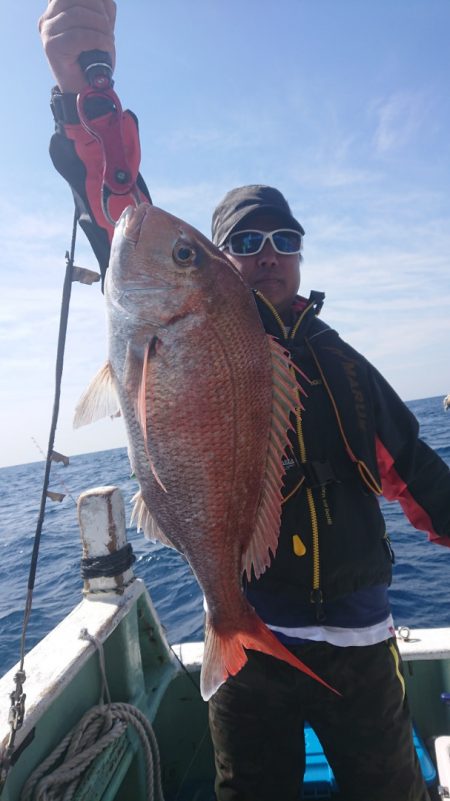 だて丸 釣果