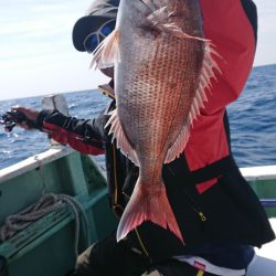 だて丸 釣果