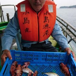 小島丸 釣果