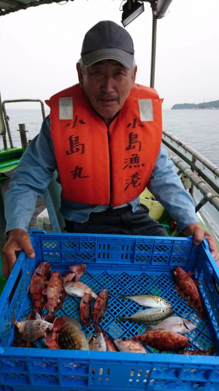 小島丸 釣果