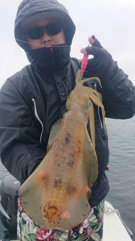 きずなまりん 釣果