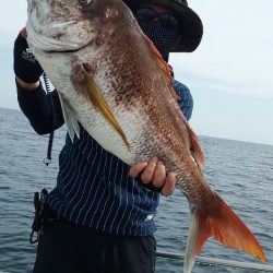 鷹王丸 釣果