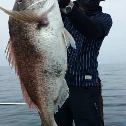 鷹王丸 釣果