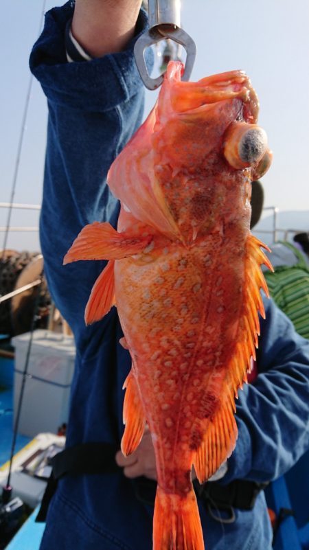 竹宝丸 釣果