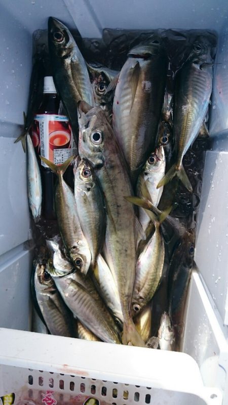 海龍丸（石川） 釣果