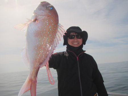 伸成丸 釣果