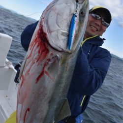 渡船屋たにぐち 釣果