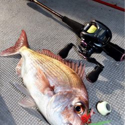 渡船屋たにぐち 釣果