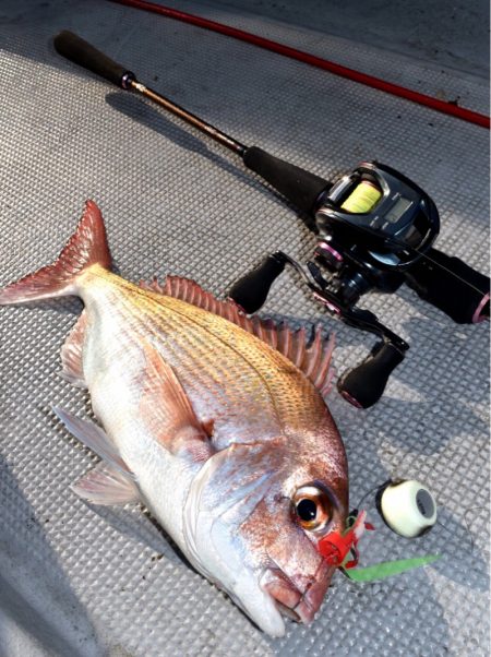 渡船屋たにぐち 釣果