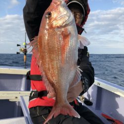 新幸丸 釣果