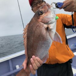 新幸丸 釣果